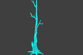 tree_02
