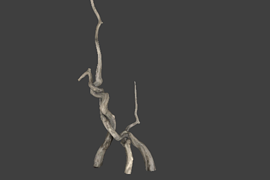 !tree_12big
