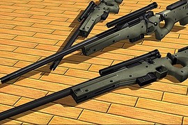 Awp Custom