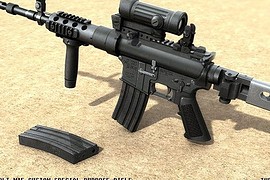 Colt M15 Custom SPR