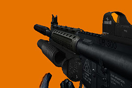 LR-300 Assault Custom