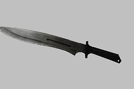 Killings 16 Knife
