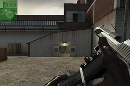 Shorty_s_Gloves