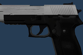 Sig Sauer P226 Black & White