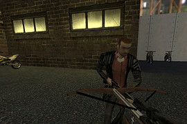 Vampire Slayer