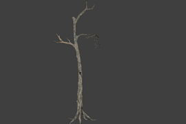 !tree_05