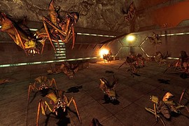 tbr_coop_thousand_antlions