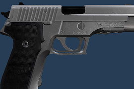 Sig Sauer P226 Stainless