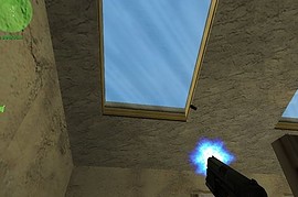Tactical Usp