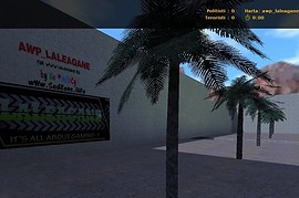Awp_laleagane
