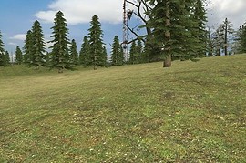 gm_wildforest_v2