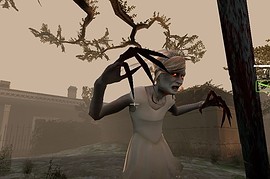 Witch Bride Replacement