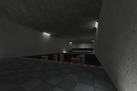 skillrun_euthanasia