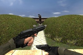 Timmy's Dual P228's