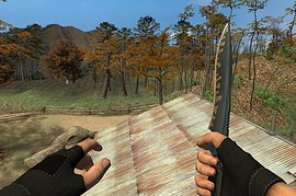 Arizona_s_Palm