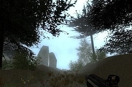 gm_forest