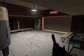 dm_pfff_v2