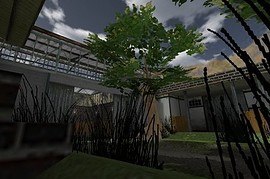 ts_pony