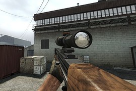 Walther 2000