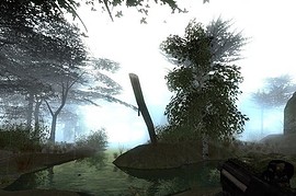 gm_forest