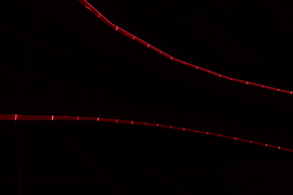 speedrun_10K