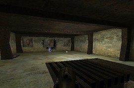 dmc_2arena