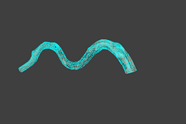 tree_08
