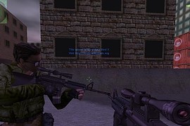 Custom Rifle