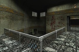 thwc2_asylum