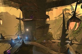 DM-Tree-of-Ages