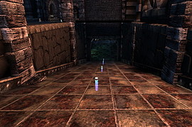 DM-1on1-Squall