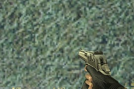 Vashts1985 s Deagle on CZ Default Anims