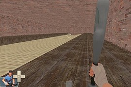 Race_for_the_point