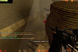 White_Tiger_M4A1