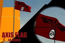 EA_and_Steam_flags