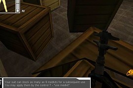 Half-Life Invasion