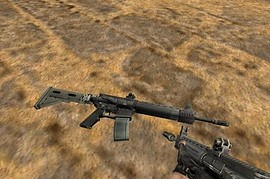S.T.A.L.K.E.R. LR300 Assault rifle