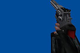 Colt Anaconda (2)
