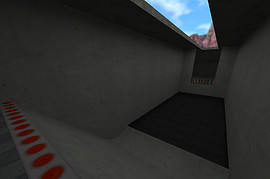 skillrun_euthanasia