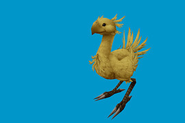 ffchocobo