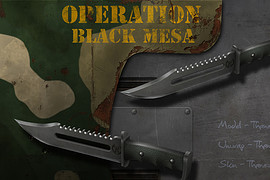 Operation Black Mesa