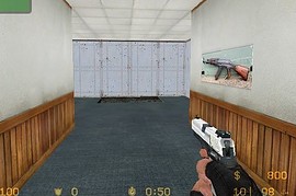 Usp Reskin