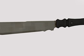 The Rook Island Slasher