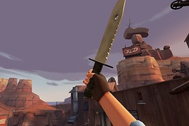 Bushman's Bayonet