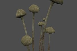 fnv_fungus02