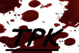 TPK hand skins