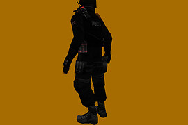 UBCS gign