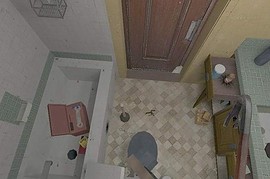 dm_roaches_wc