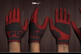 2009_Edition_PUMA_Gloves