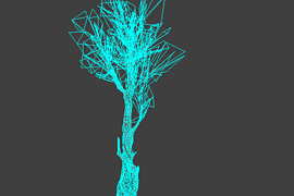 tree_01big